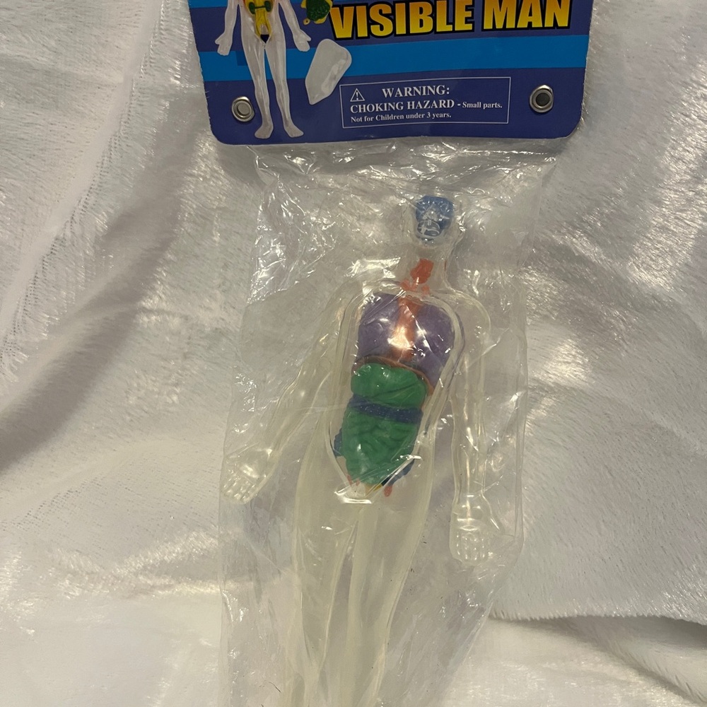 Anatomy Explorer Educational Toy Walmart